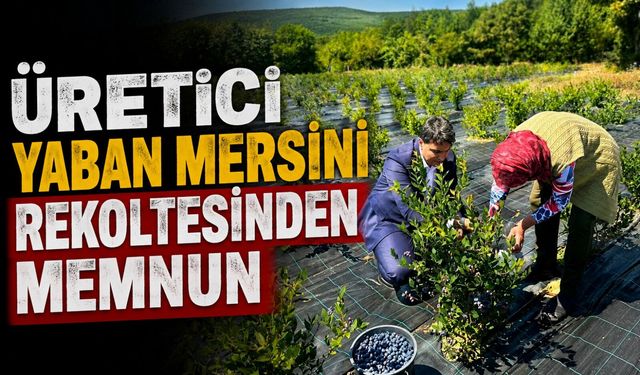 YABAN MERSİNİ HASADI YERİNDE İNCELENDİ