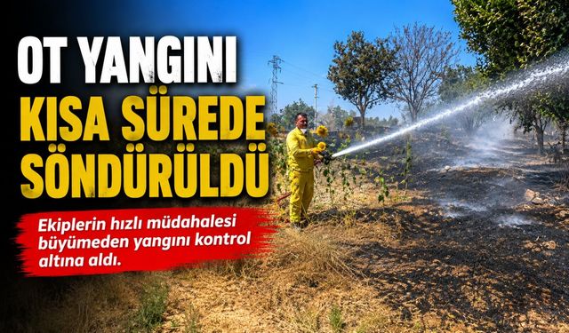 BİLECİK'TE OT YANGINI KORKUTTU