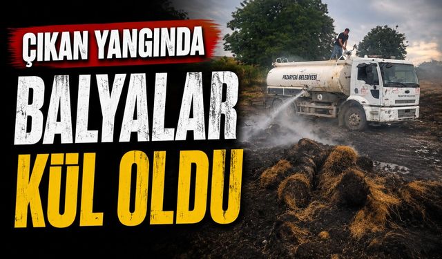 BİLECİK’TE ÇIKAN YANGINDA BALYALAR KÜL OLDU