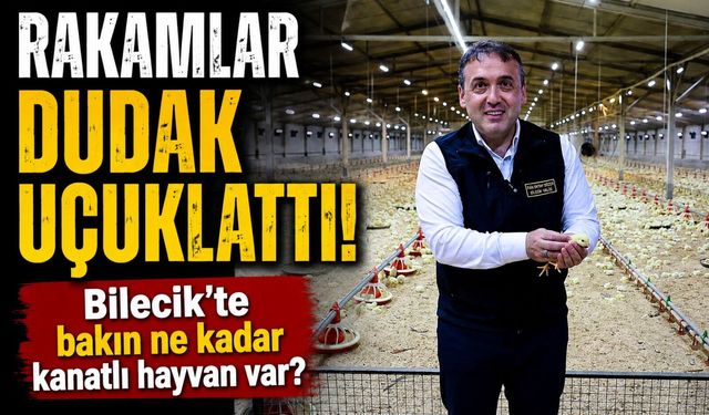 11,5 MİLYON KANATLI HAYVANA EV SAHİPLİĞİ YAPIYOR