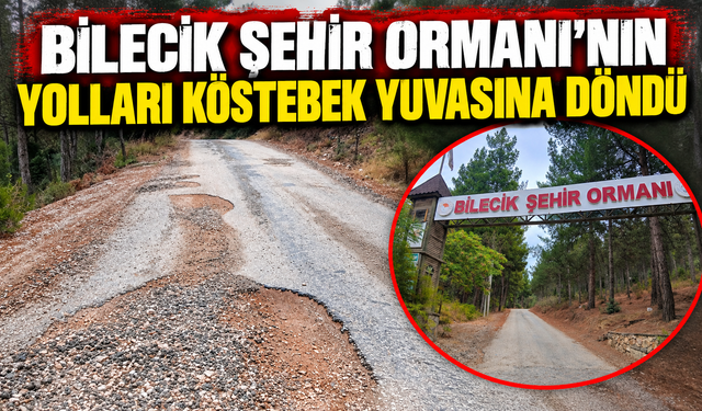 ŞEHİR ORMANI'NIN YOLLARI KÖSTEBEK YUVASINA DÖNDÜ