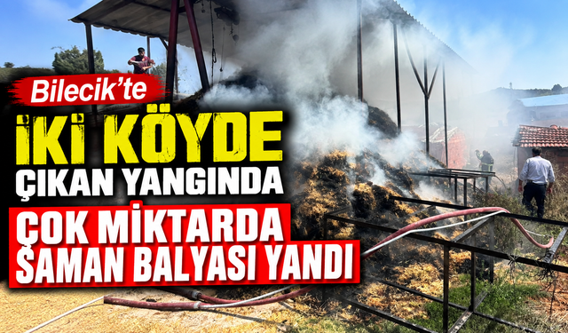 BİLECİK'TE İKİ KÖYDE ÇIKAN YANGINDA ÇOK MİKTARDA SAMAN BALYASI YANDI