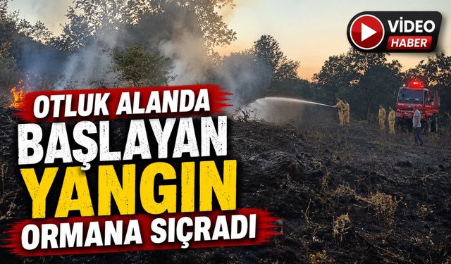 OTLUK ALANDA BAŞLAYAN YANGIN ORMANA SIÇRADI