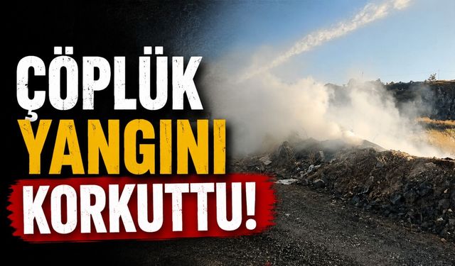 ÇÖPLÜK YANGINI KORKUTTU