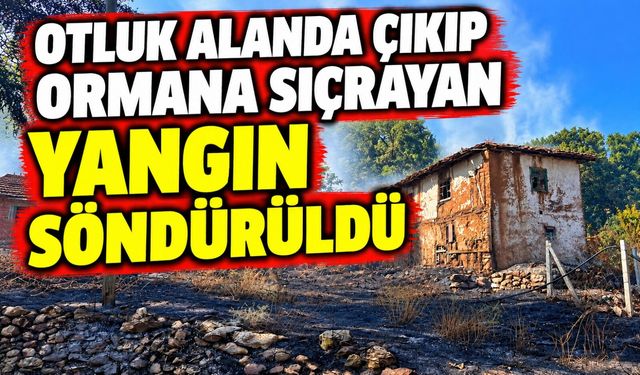 OTLUK ALANDA ÇIKIP ORMANA SIÇRAYAN YANGIN SÖNDÜRÜLDÜ