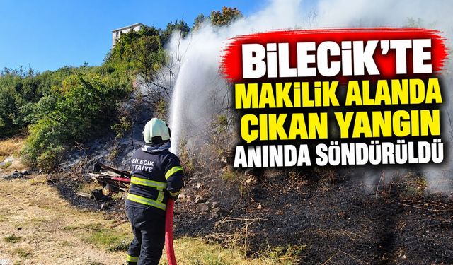 MAKİLİK ALANDA ÇIKAN YANGIN ANINDA SÖNDÜRÜLDÜ