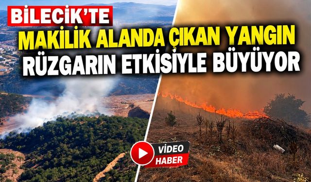 BİLECİK'TE MAKİLİK ALANDA ÇIKAN YANGIN RÜZGARIN ETKİSİYLE BÜYÜYOR