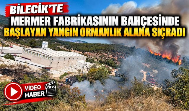 MERMER FABRİKASININ BAHÇESİNDE BAŞLAYIP ORMANLIK ALANA SIÇRAYAN YANGIN BÜYÜMEDEN SÖNDÜRÜLDÜ