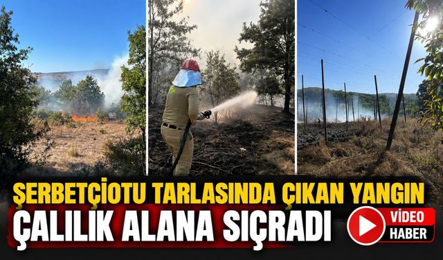 ŞERBETÇİOTU TARLASINDA ÇIKAN YANGIN ÇALILIK ALANA SIÇRADI