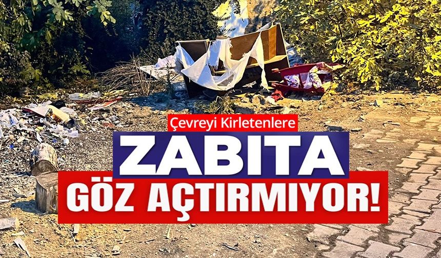 BİLECİK'TE ZABITA ÇEVRE KİRLİĞİNE GÖZ AÇTIRMIYOR