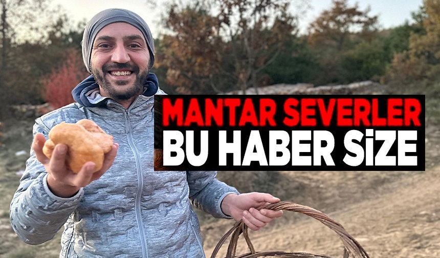 BİLECİK'TE MANTAR SEZONU GEÇ AÇILDI