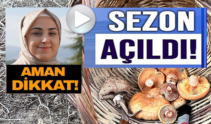 MANTAR ZEHİRLENMELERİNE DİKKAT