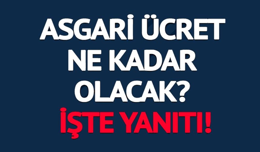 YENİ YILDA ASGARİ ÜCRET NE KADAR OLACAK? İŞTE YANITI!