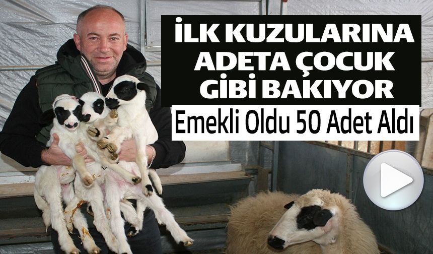 İLK KUZULARINA ADETA ÇOCUK GİBİ BAKIYOR