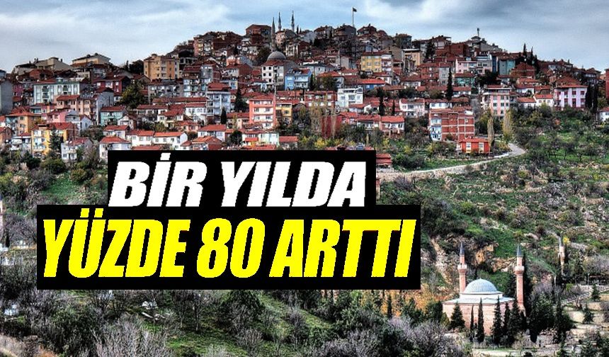 BİLECİK'TE KONUŞ SATIŞLARI YÜZDE 80,6 ORANINDA ARTTI