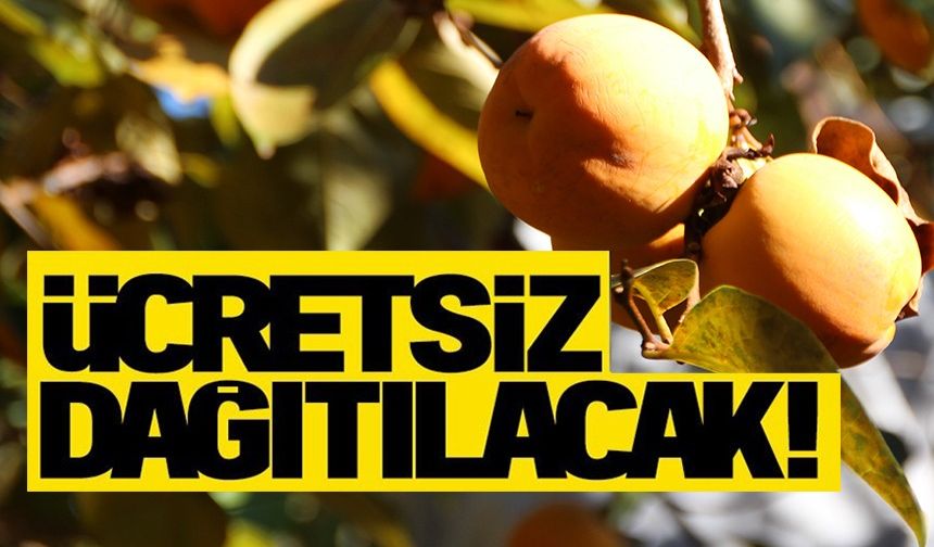 BİLECİKLİ VATANDAŞLARA ÜCRETSİZ DAĞITILACAK