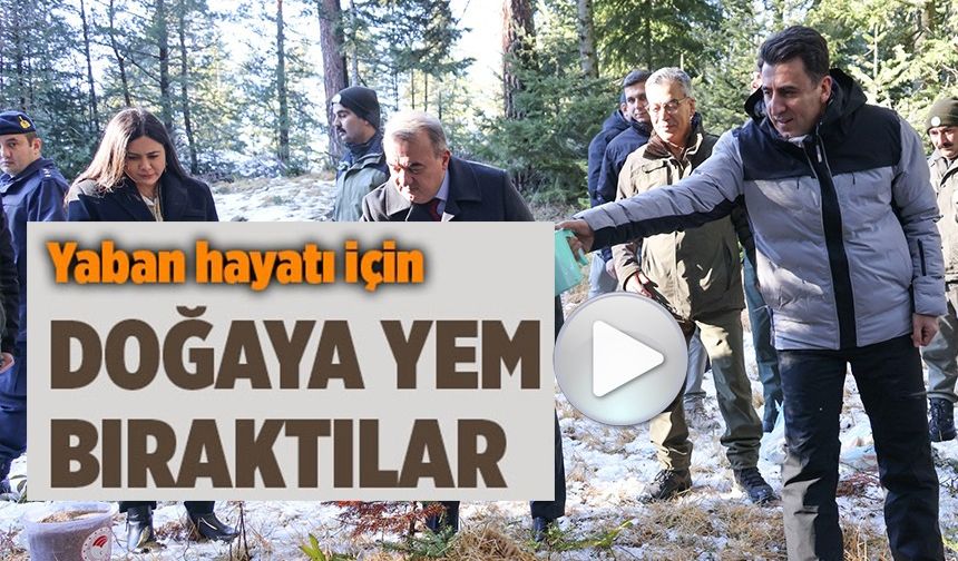 YABAN HAYATI İÇİN DOĞAYA YEM BIRAKTILAR