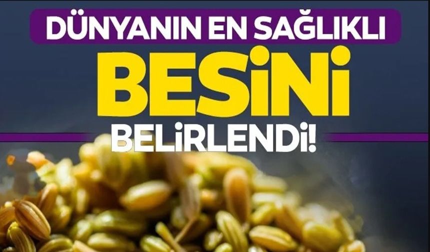 DÜNYANIN EN SAĞLIKLI BESİNİ BELİRLENDİ!