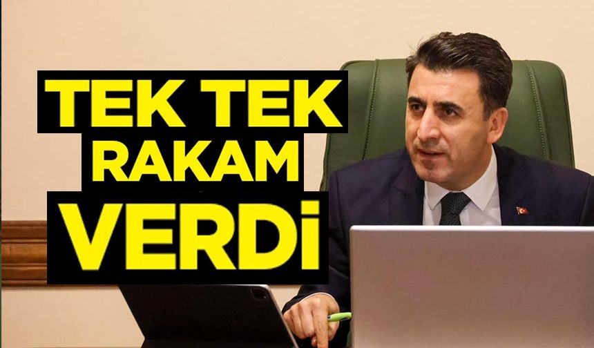 TEK TEK RAKAM VERDİ