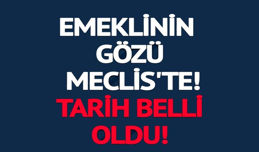 EMEKLİNİN GÖZÜ MECLİS'TE