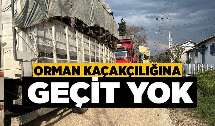 BİLECİK'TE ORMAN KAÇAKÇILIĞINA GEÇİT YOK