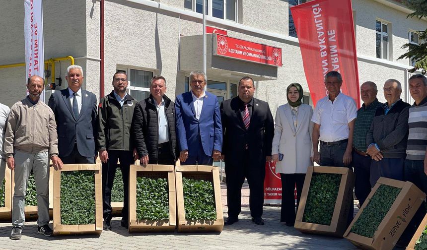 YERLİ VE MİLLİ FİDE DAĞITIM PROGRAMI GERÇEKLEŞTİRİLDİ