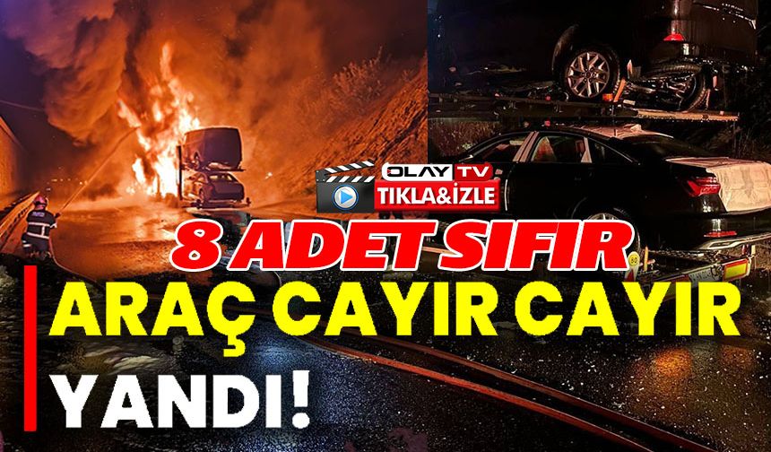 BİLECİK'TE 8 ADET SIFIR ARAÇ CAYIR CAYIR YANDI