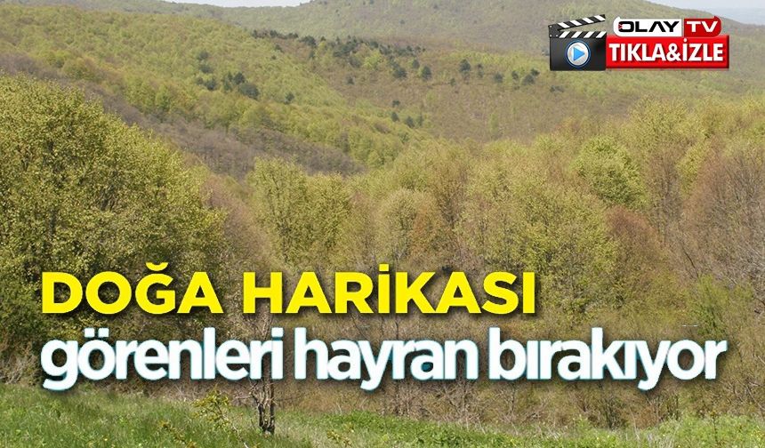 BAHARIN GELMESİYLE DOĞANIN GÜZELLİĞİ GÖRENLERİ HAYRAN BIRAKIYOR