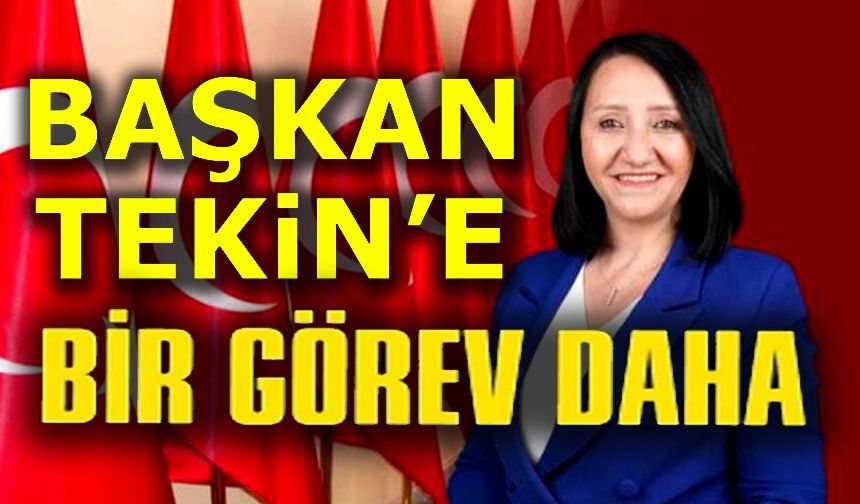 BAŞKAN TEKİN'E BİR GÖREV DAHA