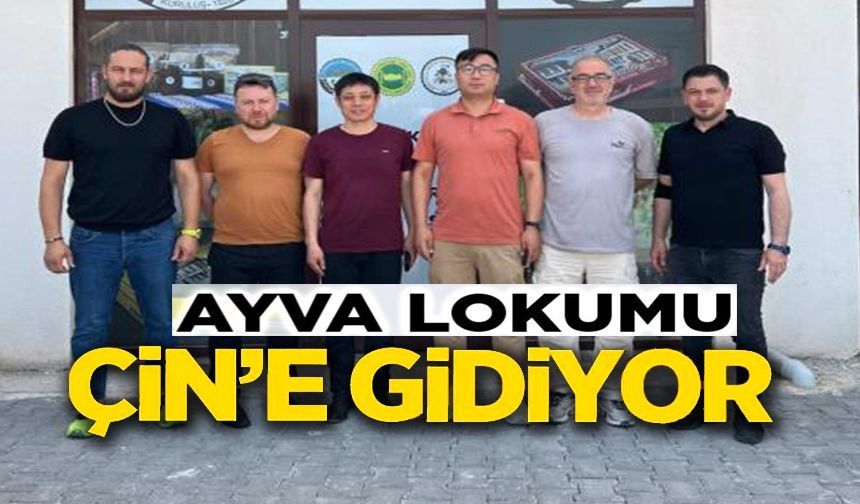 OSMANELİ ‘AYVA LOKUMU' ÇİN YOLCUSU