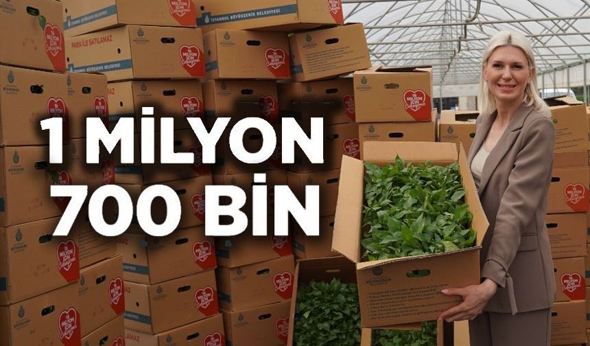 SON ÜÇ YILDA 1 MİLYON 700 BİN FİDE DAĞITILDI