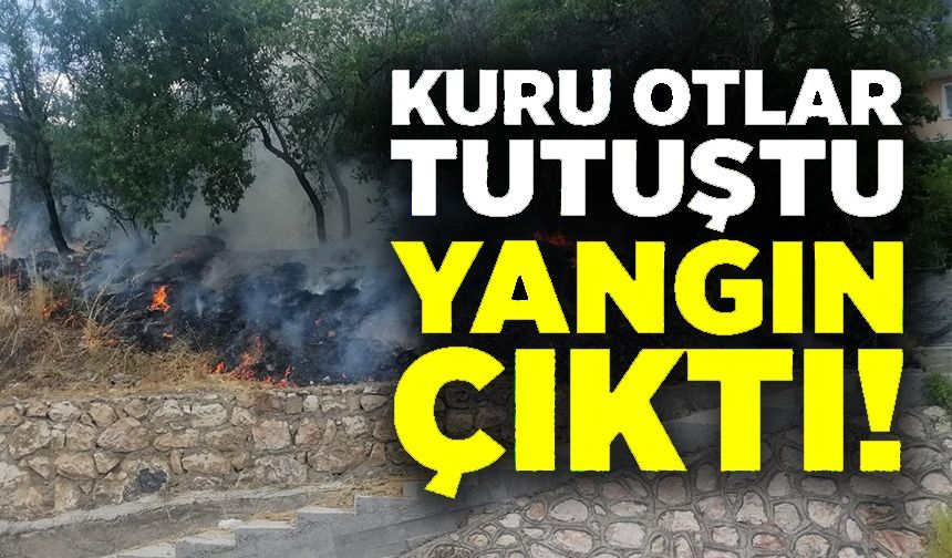 SİGARA İÇEN ÇOCUKLAR OTLARI TUTUŞTURDU