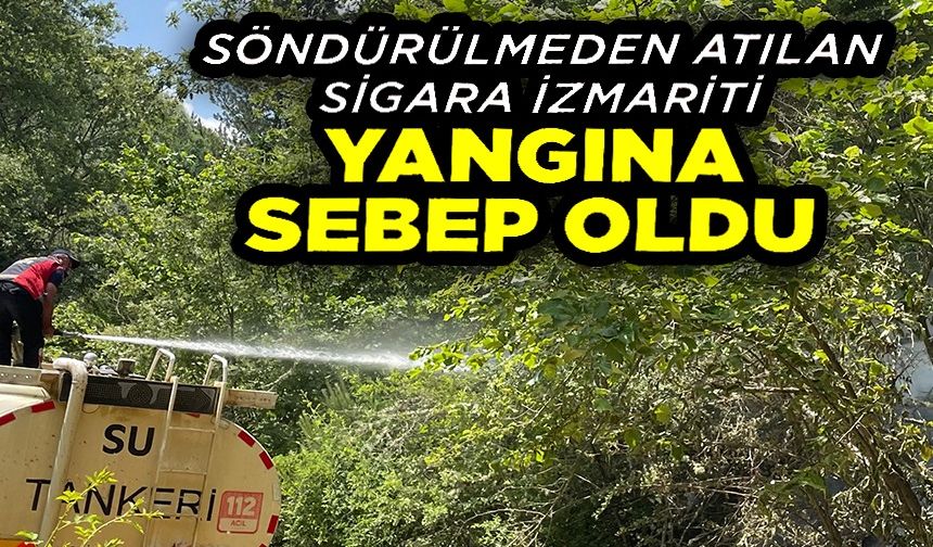 KOSKOCA TABİAT PARKI BİR SİGARA İZMARİTİ YÜZÜNDEN KÜL OLACAKTI