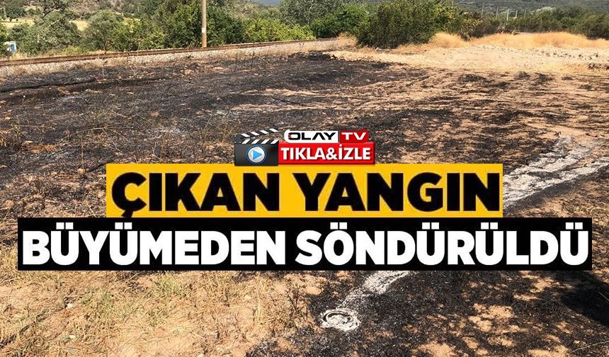 ANIZ YANGINI BÜYÜMEDEN SÖNDÜRÜLDÜ