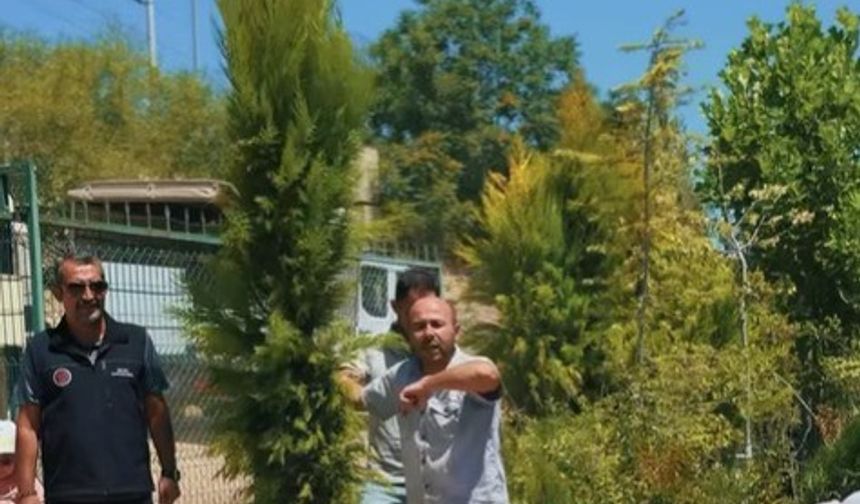 ÇOCUK SOSYAL TESİSLERİ ÖĞRENCİLERİ SERA ALANINI GEZDİ