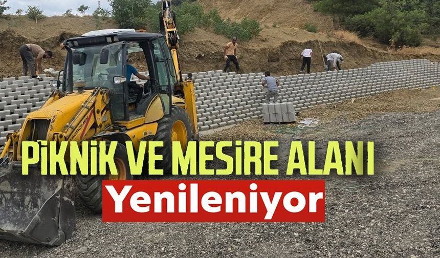 BAYIRKÖY MESİRE ALANI YENİLENİYOR