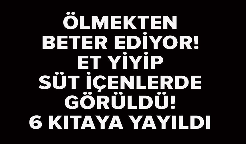 6 KITAYA YAYILAN HASTALIK