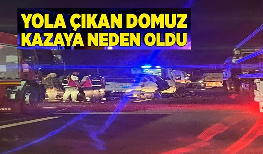 ANİDEN YOLA ÇIKAN DOMUZ KAZAYA NEDEN OLDU: 5 YARALI