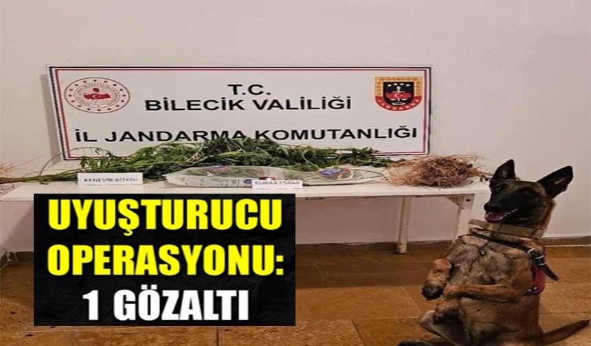 UYUŞTURUCU OPERASYONU
