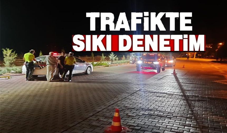 187 SÜRÜCÜYE TRAFİK CEZASI YAZILDI