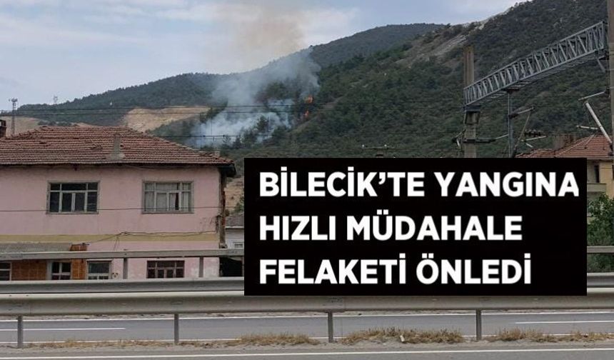 BİLECİK'TE ORMAN YANGINI