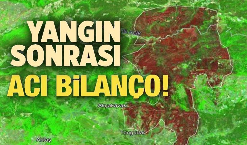 YAŞANAN ORMAN YANGINLARINDA 17 BİN HEKTAR ALAN KÜL OLDU