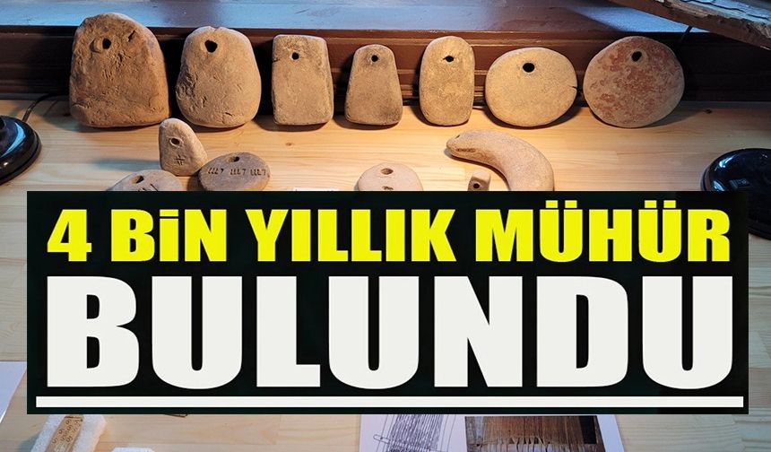 BİLECİK ŞEYH EDEBALİ ÜNİVERSİTESİ’NDEN ANADOLU TARİHİNE BÜYÜK KATKI