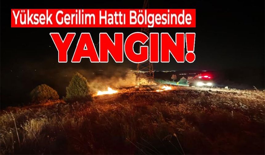 YÜKSEK GERİLİM HATTI ALTINDA ÇIKAN YANGIN KORKUTTU