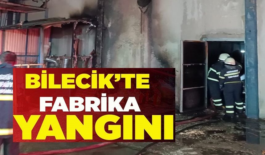 BİLECİK'TE FABRİKA YANGINI
