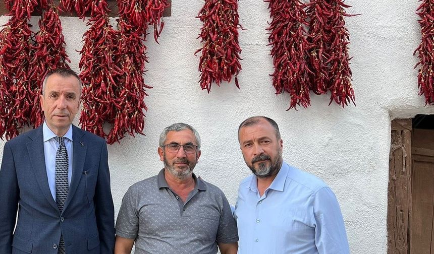 ÇUKURÖREN BİBERİNE YAKIN İLGİ