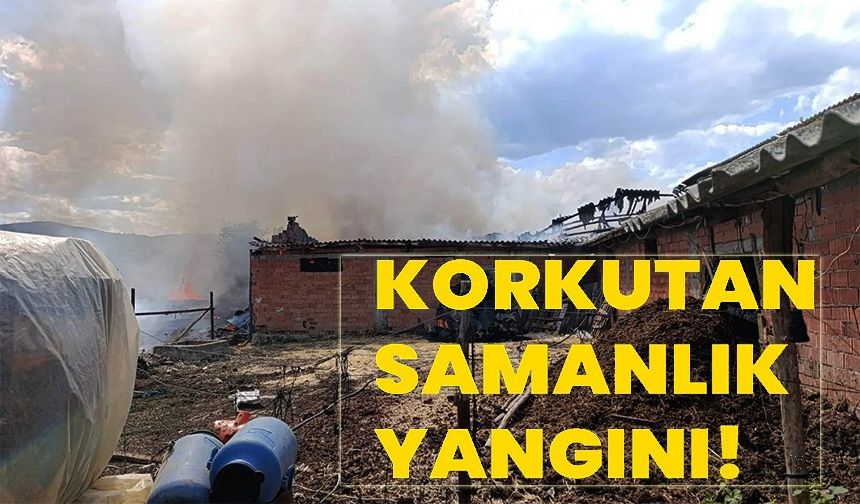 SAMANLIK ALANDA YANGIN ÇIKTI