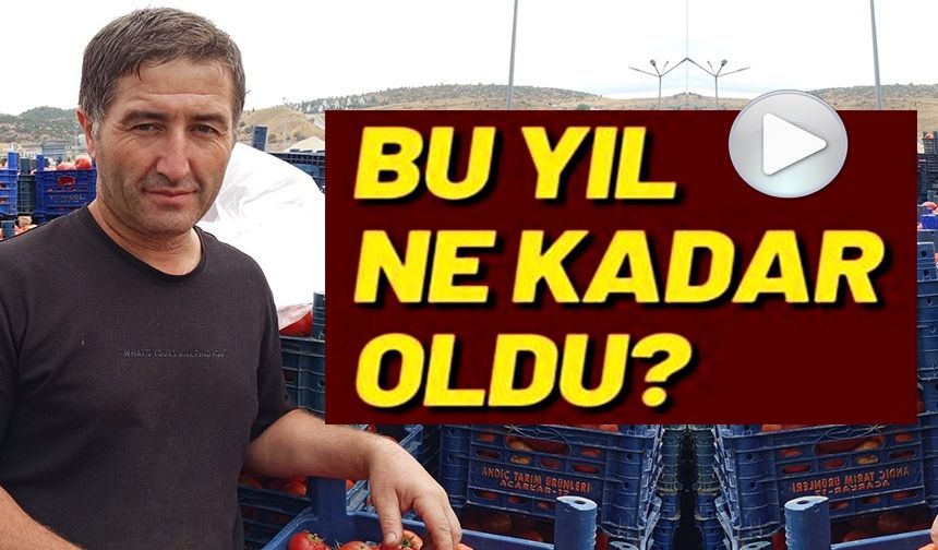 SALÇALIK DOMATESLER BU SENE DE YOĞUN İLGİ GÖRÜYOR