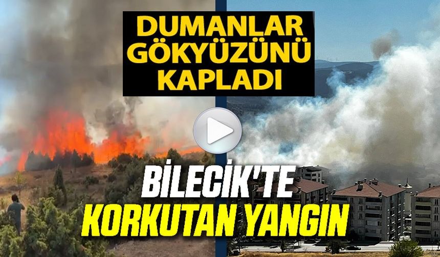 SALÇA YAPARKEN ÇIKAN KIVILCIMLA 30 DÖNÜM MAKİLİK ALANI KÜL OLDU