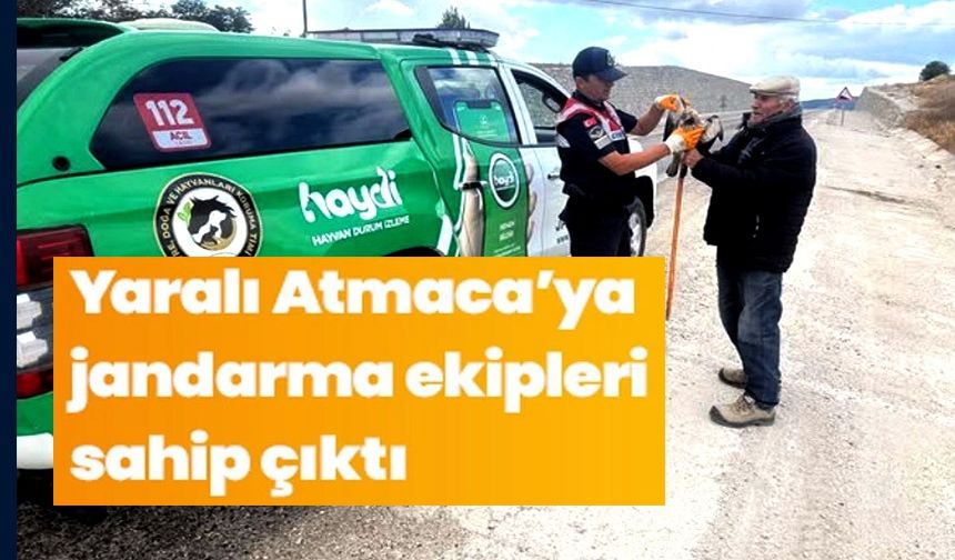 YARALI ATMACAYA JANDARMA SAHİP ÇIKTI